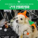 프리미엄 펫베이커리&펫푸드카페 멈머맘마 | [구의 강아지카페] 멈머맘마, 프리미엄 펫 베이커리&amp;푸드!