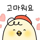 송도 통큰 조개 이미지