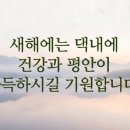 서리풀동의보감한의원 이미지
