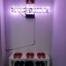 강남 애견유치원 :: 난생 처음 대치동강아지유치원 그루잠 후기