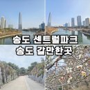인천 송도 가볼만한곳 송도 센트럴파크 공원 보트 가격
