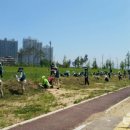 희망의 꽃밭에서 이미지