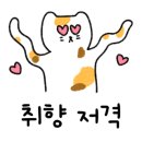 헤어아티스트엠중앙대 이미지
