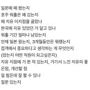 지유어패럴 이미지