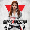 블랙위도우 이미지