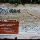 서부초등학교삼거리 이미지