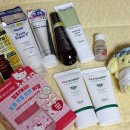 바디닥터선향 이미지