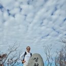 천해 | 따뜻한 말로 마음을 다독여준 인천점집 천해궁 후기