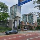 서판교로 네이버블로그