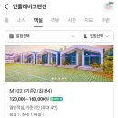 민들레미코 이미지