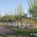 대호조경 이미지
