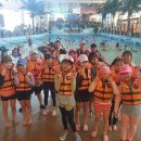 연세태권도 이미지