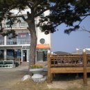 한국취업정보 티스토리