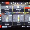 인천부엉이 이미지