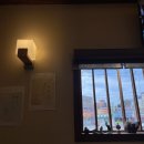 정희옥스시 이미지