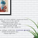 플라워우리 이미지