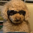 이마트24편의점 이미지