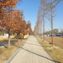 왕송호수공원 이미지