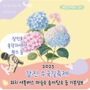호산나 어린이집 | 2025 강진 수국길축제 기본정보 위치 기간 장민호