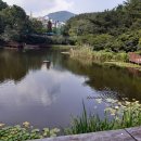 대신공원 이미지