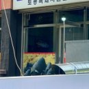 수정식육점 이미지