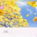 한마음 농장 | 백기_풍년을 기원하는 한마음(岁穗同心) 모멘트, 통화