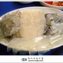대머리산오징어 Daum카페