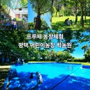 어린이학농원수영장 | 평택 어린이농장 학농원 경기도 숲체험 프루떼 아이와 가볼만한곳 농장체험 숲놀이터