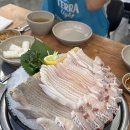 독도회집 | 안산 고잔동 횟집추천 독도새우 안산맛집 도다리국수회 후기 '윤선장어시장'