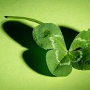 300당구장 이미지