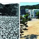 지방초등학교 이미지