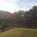 자연과사람노래연습장 이미지