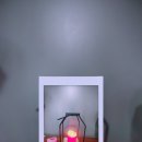 헤어스토리 이미지