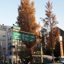삼호목욕탕 이미지