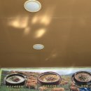 엄마곰탕 | [여수 돌산 엄마곰탕] 돌산국밥맛집 돌산아침식사 돌산추어탕맛집 돌산소머리국밥 - 엄마의 따뜻한 밥상...