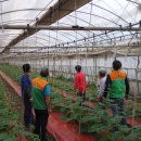 칠성주유소 이미지