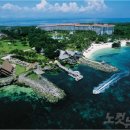 샹그릴라 이미지