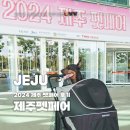 pet 224다7337 | 2024 제주펫페어 대형견 동반후기, 사전등록 상품, 입장료, 카트