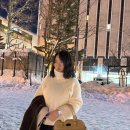 카사인 | Sapporo 삿포로 혼자 여행 1일차 ❄️ 2/23~24