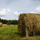 퍼머컬쳐 이미지