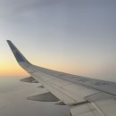 오남16(한국1차@) | 16주 성별확인 1차 2차 기형아검사 시기 결과