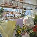 칠성남로 이미지