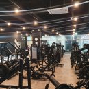 머슬서포트짐 | 머슬서포트짐 송천점의 운동도우미, 신대륙 트레이너