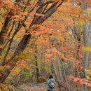 (주)메디온 이미지
