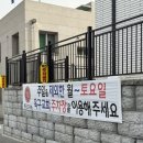 멍미뇽 | 군산 대형 베이커리카페 메종드미뇽 힐링하기 좋은 카페 (+추천 빵)