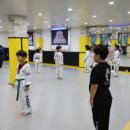 용인대 인성 태권도장 이미지