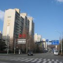 분당-282 이미지