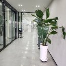 비젼실내골프연습장 이미지