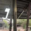 아이러브복싱 | 251026_눈 감았다뜨니 겨울왔다네요/상해 입성기, 2만보씩 걸으면서 난징동루부터 와이탄 구경, 헌지우...