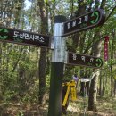 도산면사무소 이미지